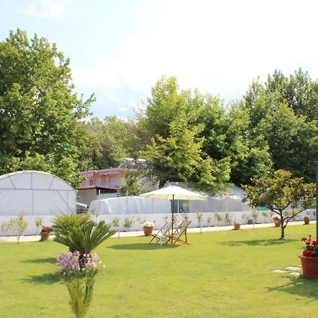 Kavadias Sea View 1 Apartment Paralia Skotinis